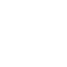 Driving Instructors Association member logo